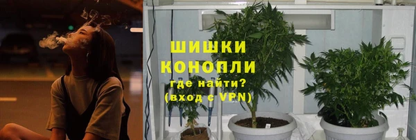 спиды Михайлов