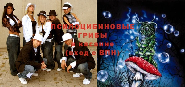 PSILOCYBIN Михайловка