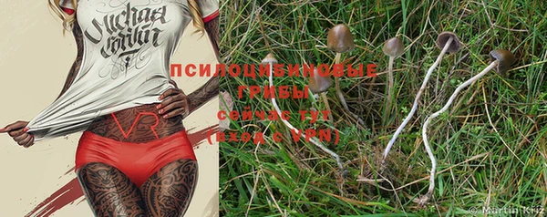 PSILOCYBIN Михайловка