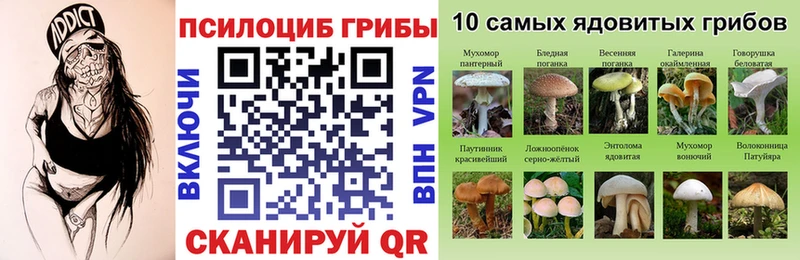 Псилоцибиновые грибы мухоморы  купить  цена  Дмитровск 